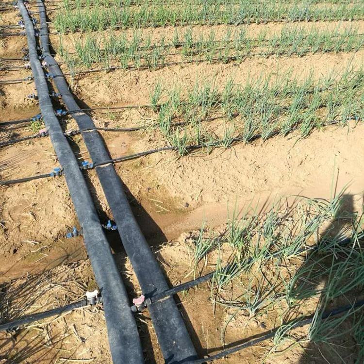 Drip-Irrigation-Tape-1