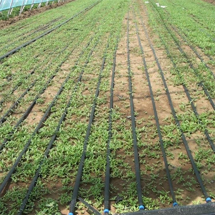 Drip-Irrigation-Tape-1